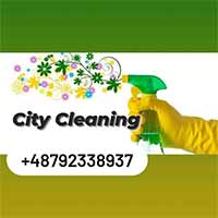 City Cleaning Nataliia Fedchenko Usługi porządkowe - Czyszczenie strumieniowo-ścierne