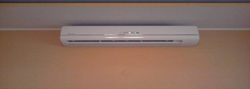 Wenteam Łukasz Wlazło