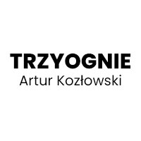 Artur Kozłowski Trzyognie - Kominki
