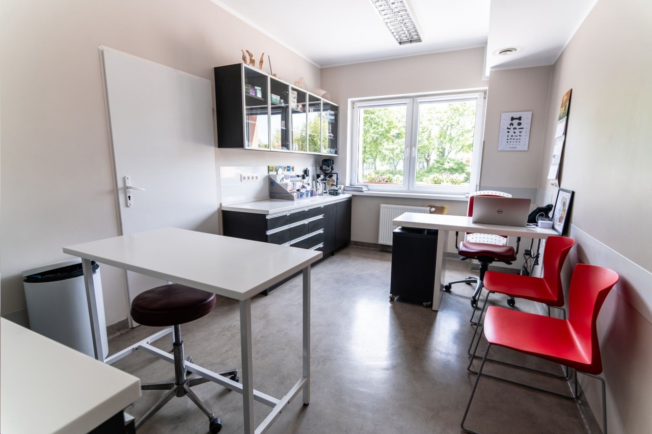 gabinet weterynaryjny