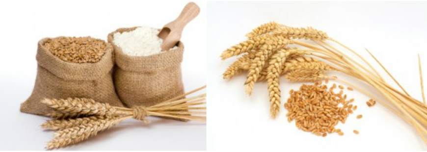 Młyn Ostrów Wlkp. Otwiaska Spółka komandytowa