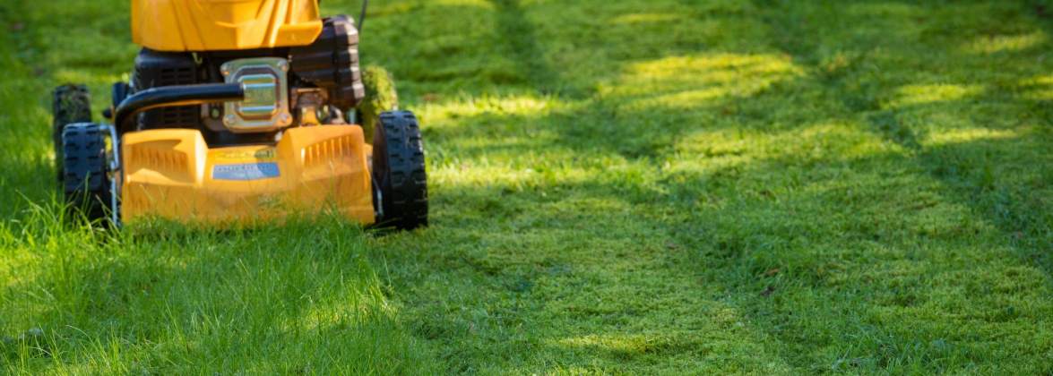 Agro-Garden Sławomir Czerski