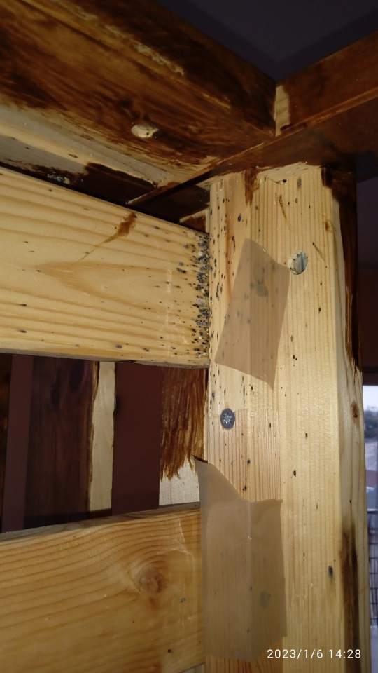 tępienie stawonogów