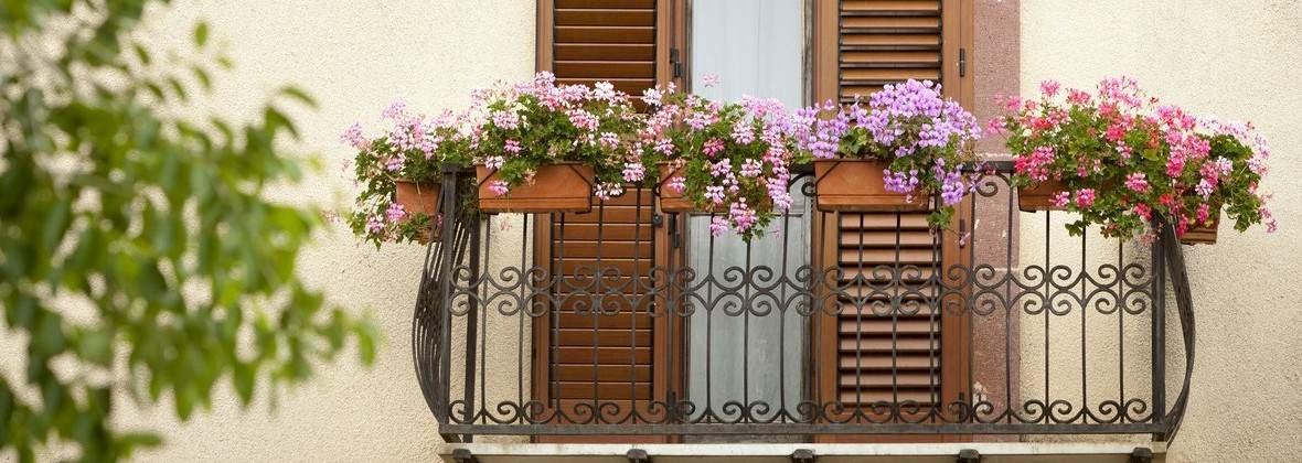 Maroku Maria Romanowska-Kuc