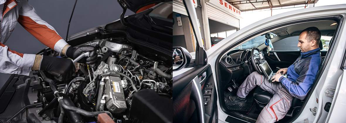 D.B Serwis Bartłomiej Dziadosz