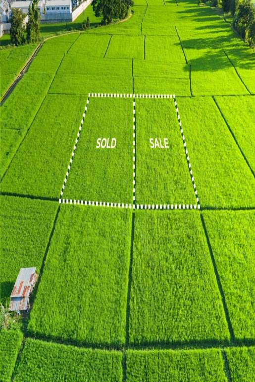 sprzedaż działek gruntowych