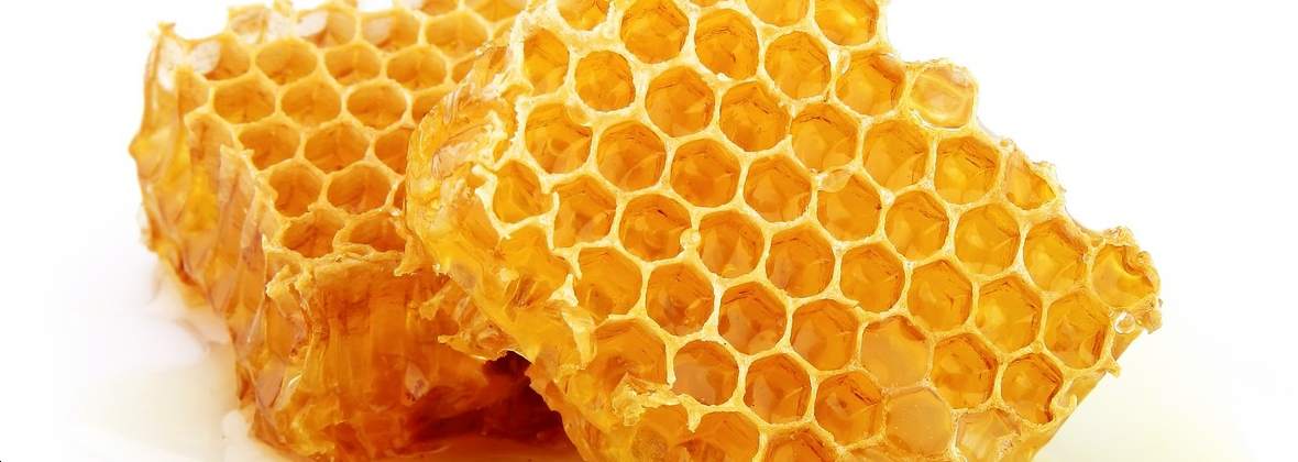 Prokit Skup Propolisu