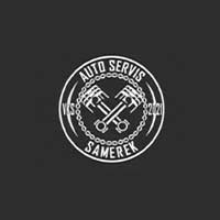 Auto-Servis Samerek Vasily Samerek - Stacje obsługi i warsztaty samochodowe