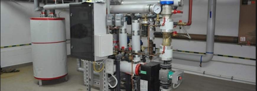 Nikol Phu Krzysztof Nowak