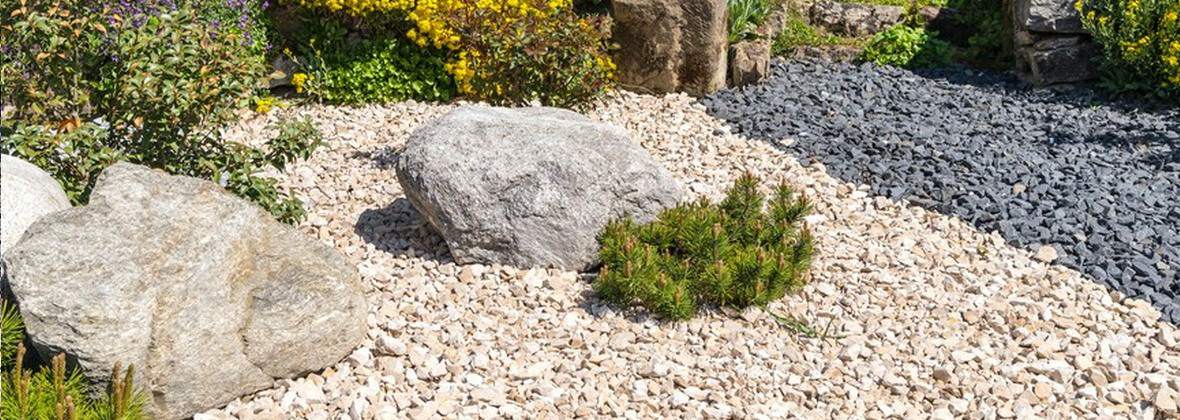 As-Trans Sławomir Szkutnik