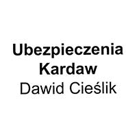 Ubezpieczenia Kardaw Dawid Cieślik - Ubezpieczenia