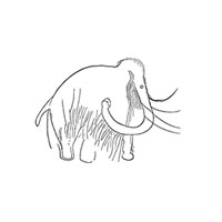 Gojatel Pracownia Archeologiczna Bogdan Kitliński - Badania i usługi archeologiczne