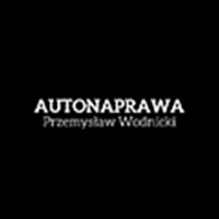 Przemysław Wodnicki - Autonaprawa - Elektronika samochodowa