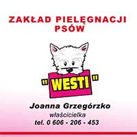 Westi. Zakład pielęgnacji psów - Zwierzęta domowe