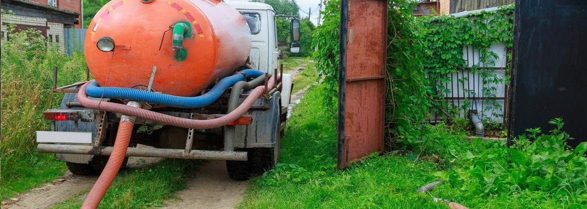 Delfin Jacek Pytliński