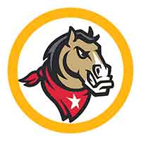 Tele Taxi Wiesław Gordel - Taxi