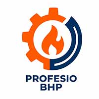 Profesio Bhp Marzena Wilk, Koszęcin