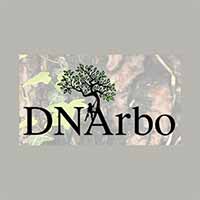 Dn Arbo Damian Niemczyk - logo
