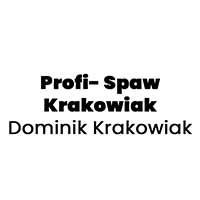 Profi- Spaw Krakowiak Dominik Krakowiak - logo