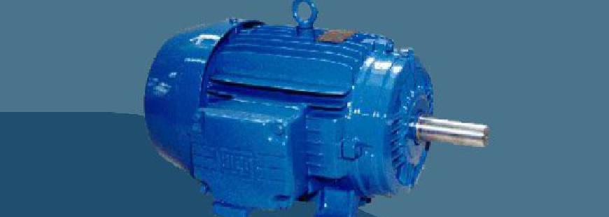 Zimar Marcin Spadło