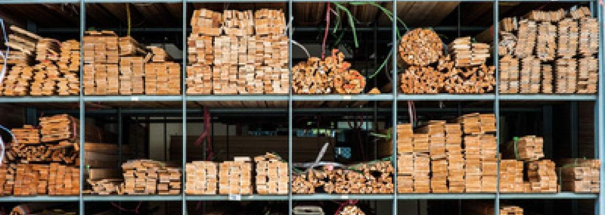 Tartak Powidz Jacek Drygała