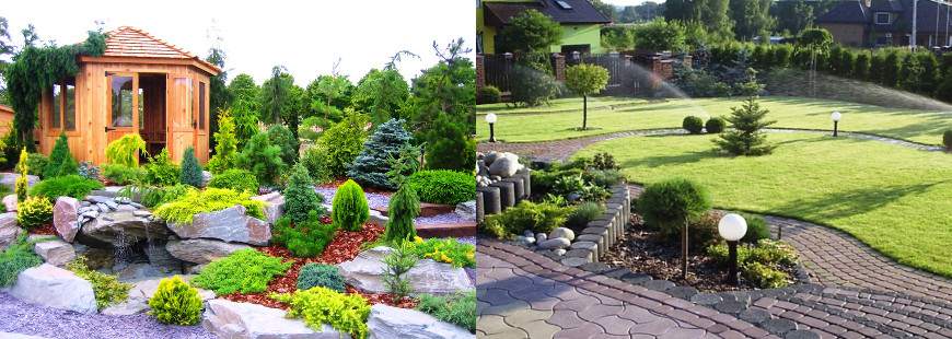 Wymarzony Ogród Malinowski Grzegorz