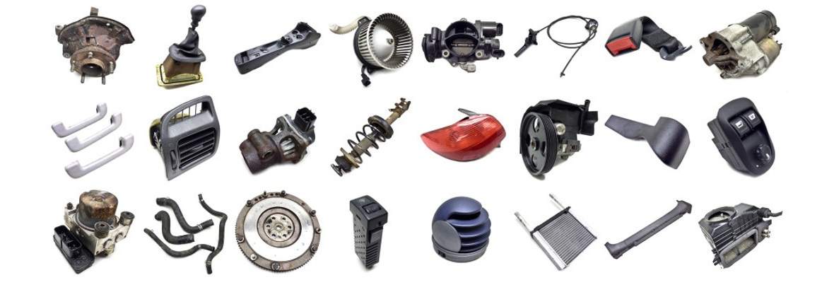 Expertyza Tomasz Trześniowski