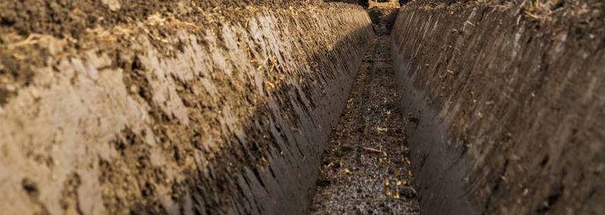 Mateusz Beszczyński