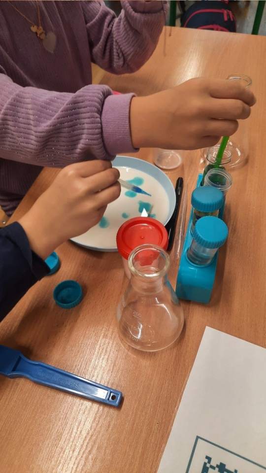 warsztaty edukacyjne dla młodzieży