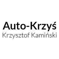 Auto-Krzyś Krzysztof Kamiński - Stacje obsługi i warsztaty samochodowe
