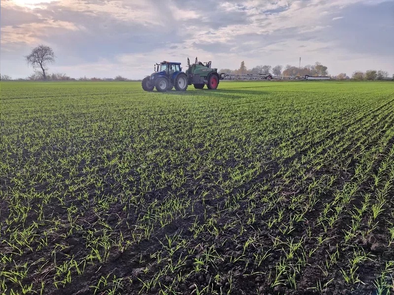 Artur Barczak Gospodarstwo rolne