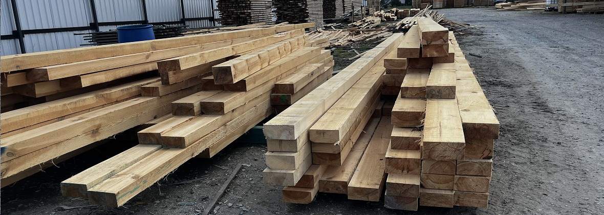 Ms-Dach Marek Szczygieł