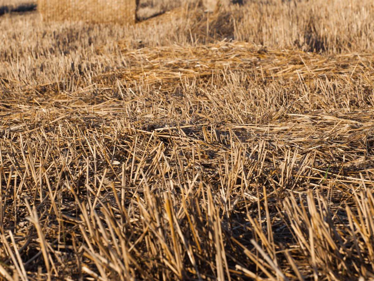 środki dla rolnictwa