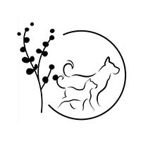 Fizjoterapia Zwierząt Pets Move Mirella Mróz - Lecznice weterynaryjne