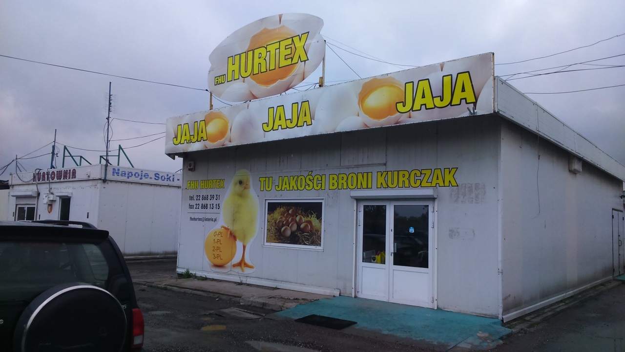 jaja, świeże jaja, pakownia jaj, hurtownia jaj, jajka hurt, jaja wolnowybiegowe