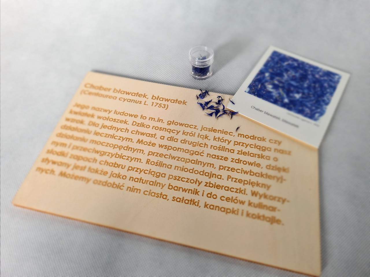 integracja sensoryczna