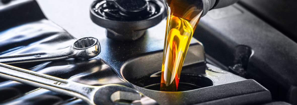 Furtex Wojciech Dobosz