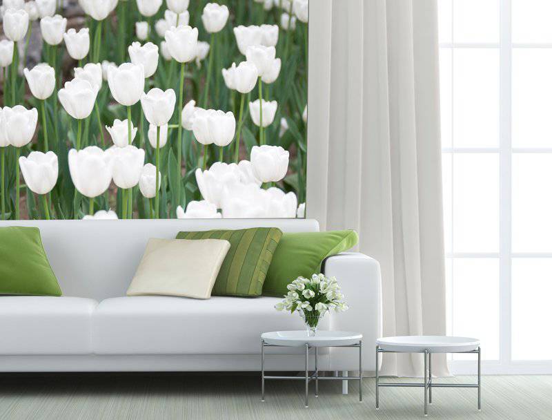 Akcesoria i gadżety reklamowe