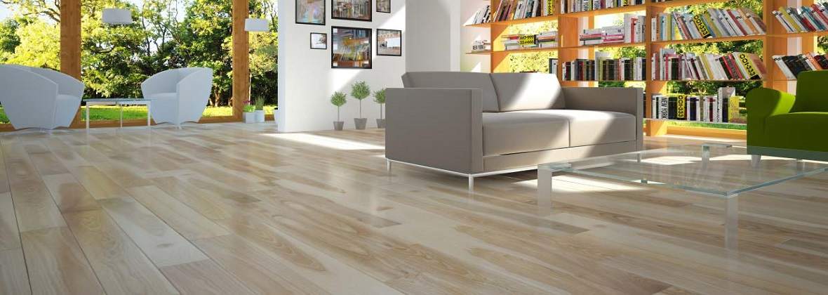 Fagus Jarosław Wysocki