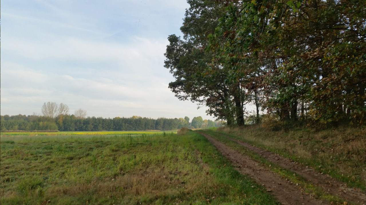 działki na sprzedaż