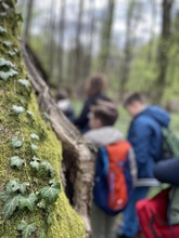 zajęcia w lesie dla dzieci