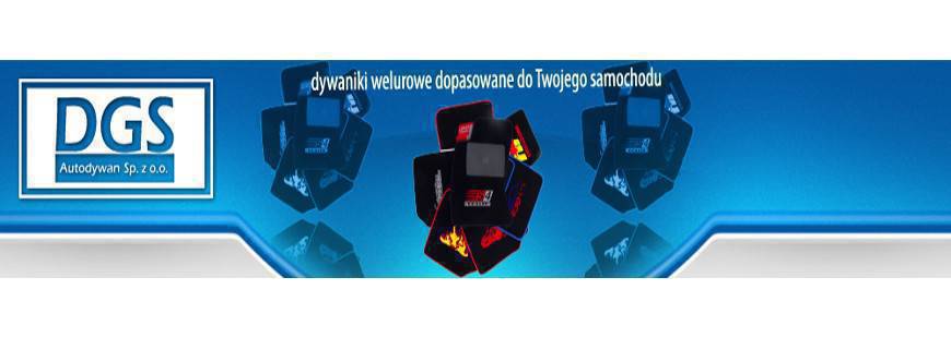 DGS Autodywan sp. z o.o.