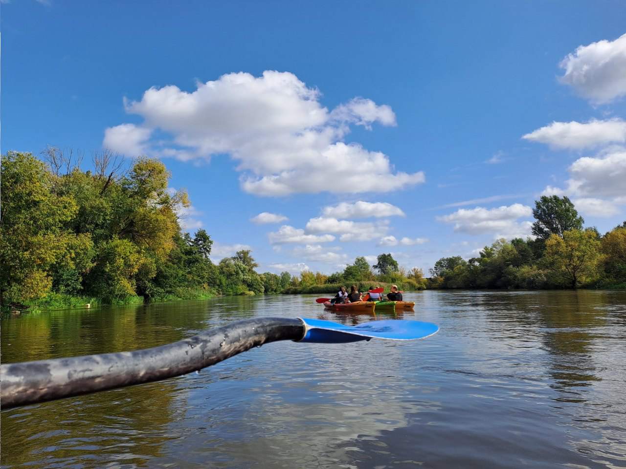 spływy kajakowe grupowe
