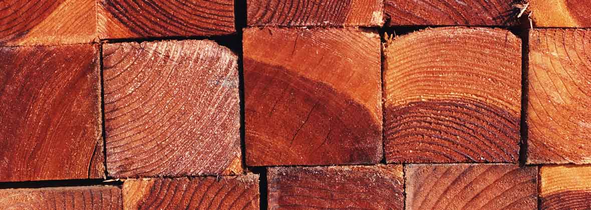 Usługi Transportowe Kupno Sprzedaż Drewna Marcin Lichota