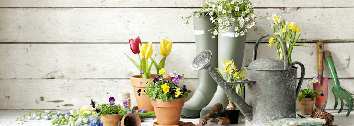 Justex. FHU. Justyńska B.