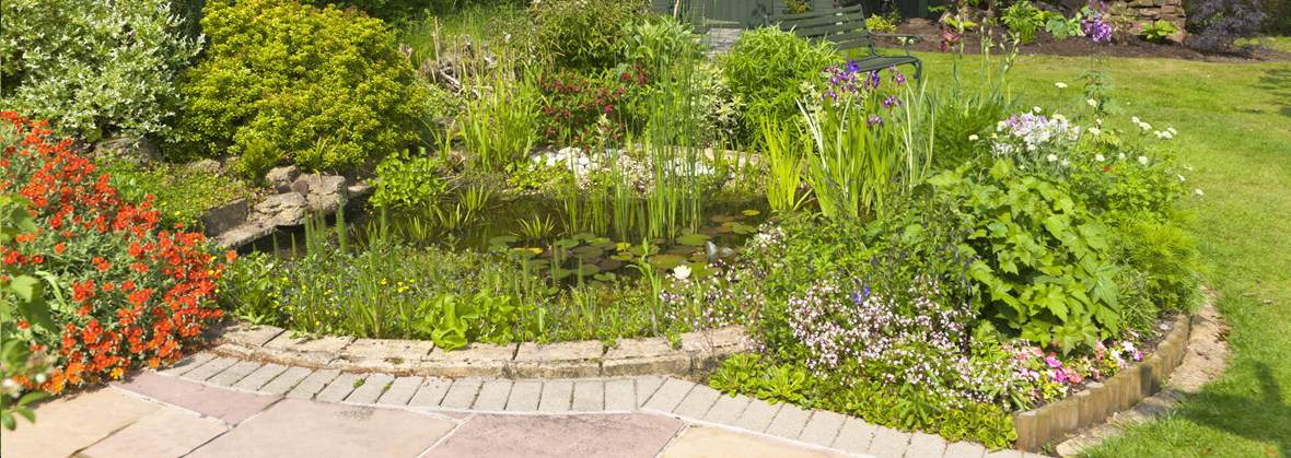 PureGarden Adrian Adamczak