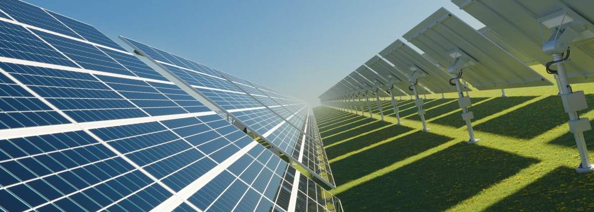 Eco Dream Magdalena Świątek