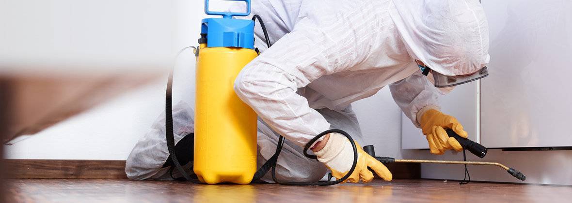 ZU "ANWIT" Anna Jakubowska