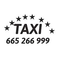 Taxi Wisła nr 53 - Taxi