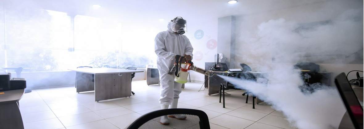 Pestguard Serwis Łukasz Łęczycki